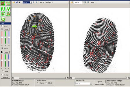 Afis Database